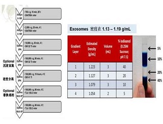 Exosome：功能那么強，提取并不難