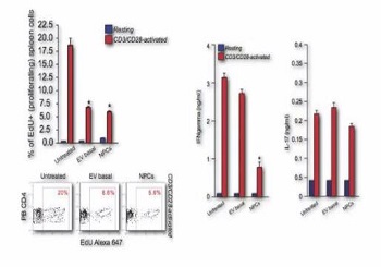 Exosome：揭秘干細胞與免疫細胞如何“對話”